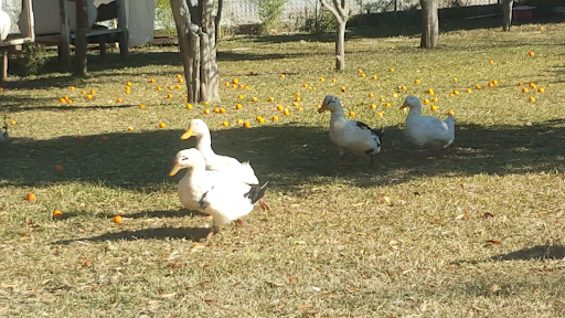 Yorum fotoğrafı 7