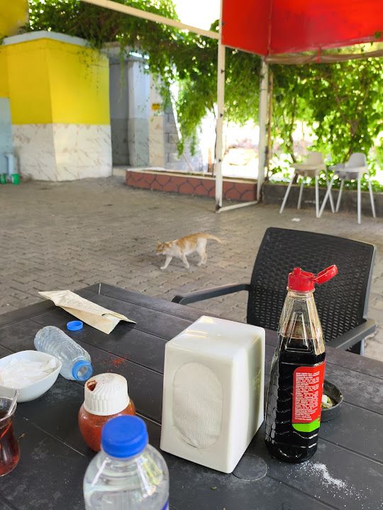 Fotoğraf 12