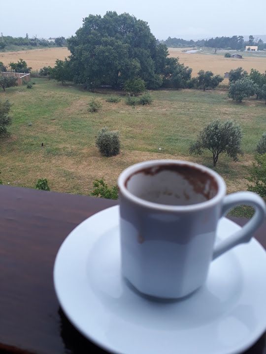 Fotoğraf 37