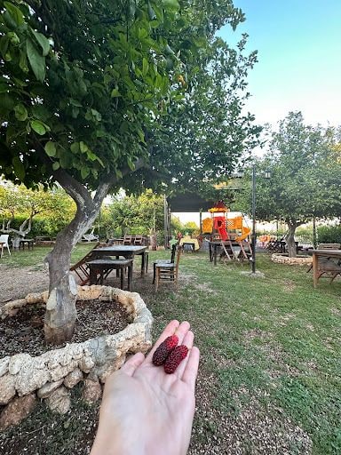Yorum fotoğrafı 3