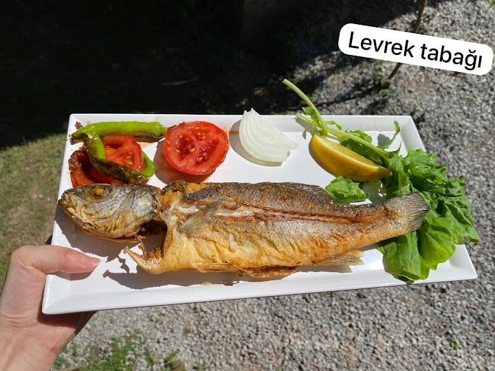 Fotoğraf 12