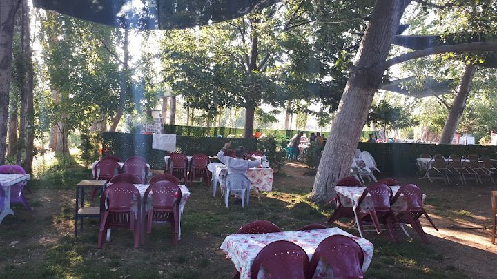 Fotoğraf 16