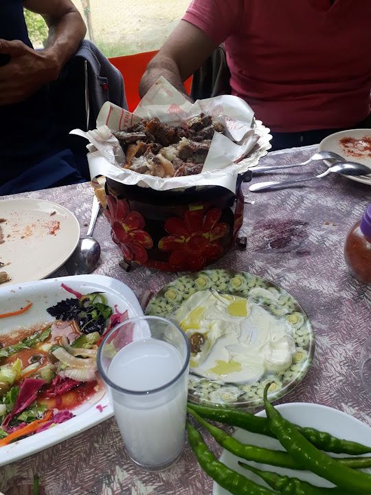 Fotoğraf 17