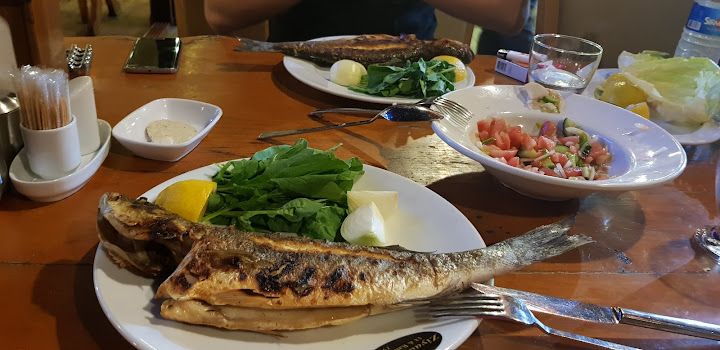 Fotoğraf 26