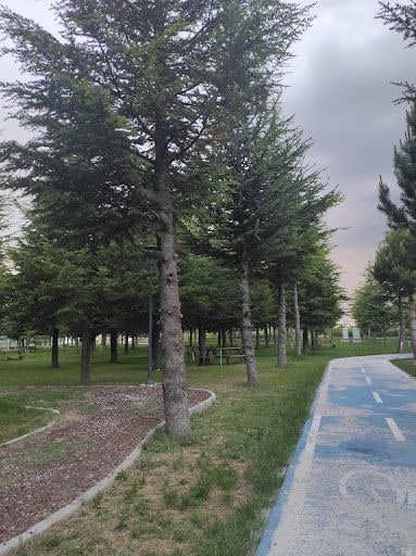 Yorum fotoğrafı 7