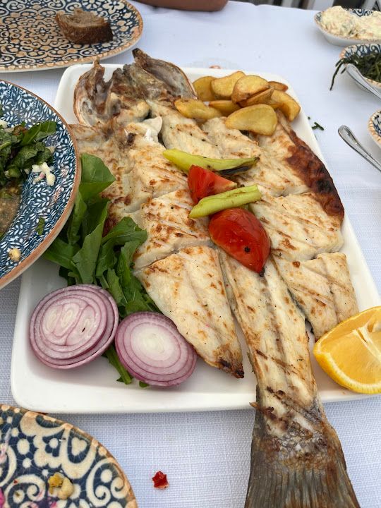 Fotoğraf 32