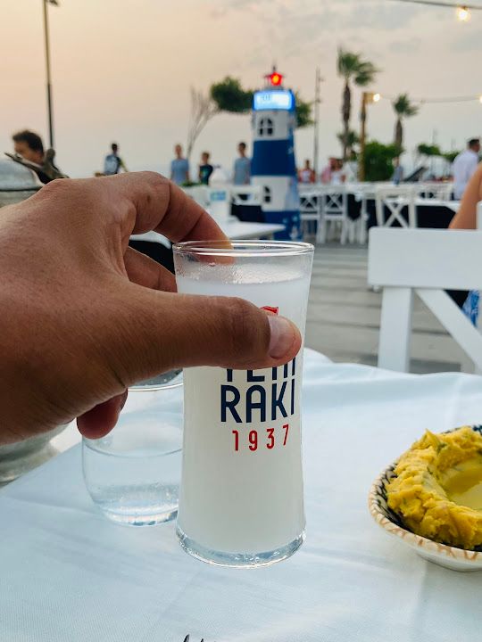 Fotoğraf 77