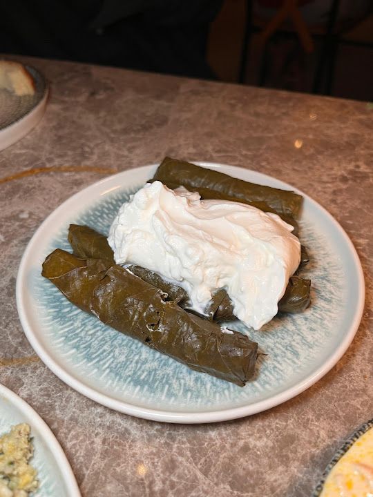 Fotoğraf 20