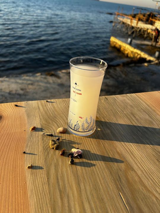 Fotoğraf 39