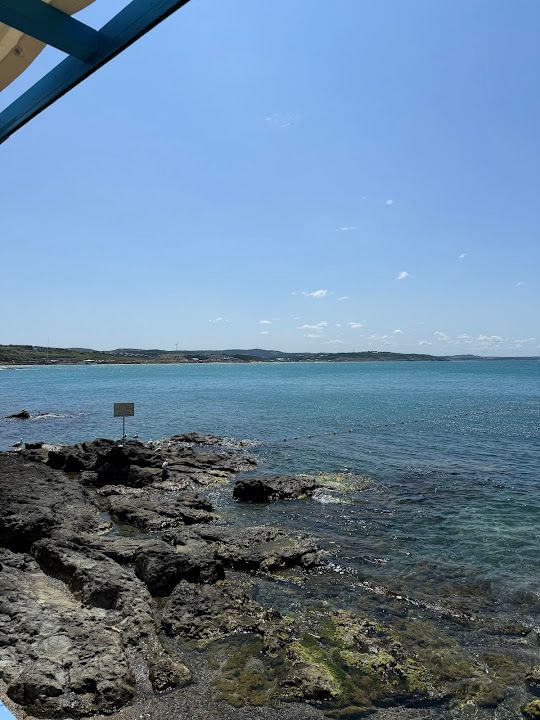 Fotoğraf 21