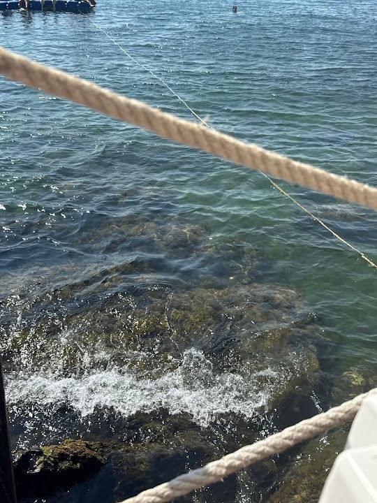 Fotoğraf 27