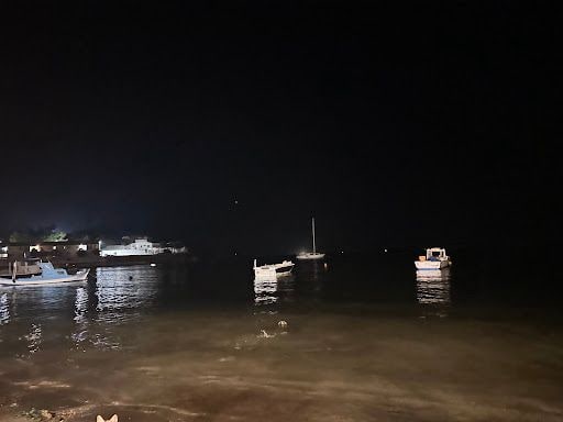 Fotoğraf 18