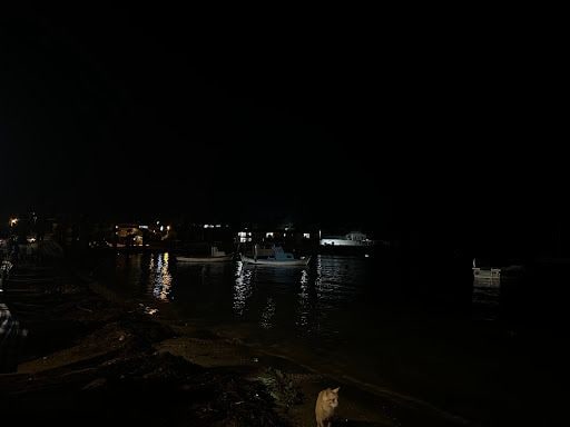 Fotoğraf 19