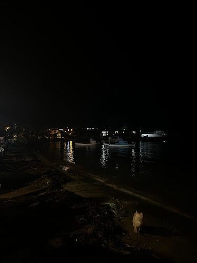 Fotoğraf 20