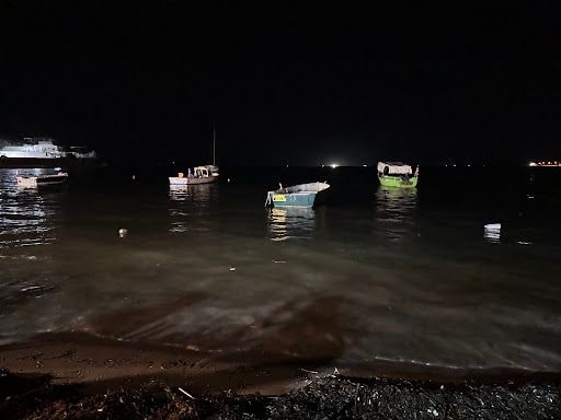 Fotoğraf 21