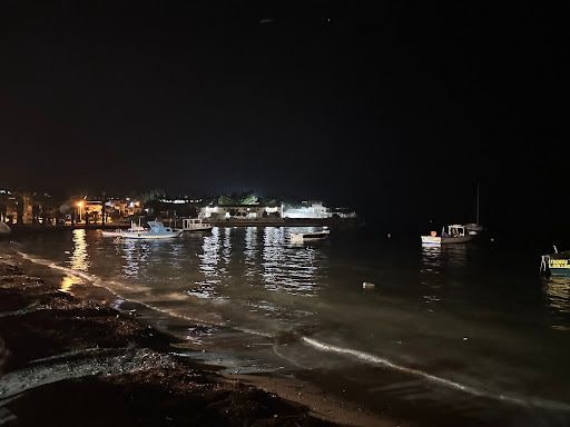 Fotoğraf 24